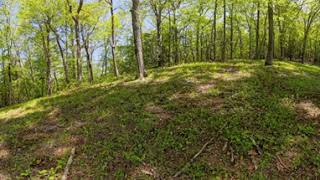 Peaceful High Mountain Meadow - Little Switzerland, NC - 360-Degree Video - Insta360 X4 by Tony Lee Glenn 91 views 3 weeks ago 1 minute, 54 seconds