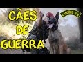 MALDITOS CÃES DE GUERRA - CANÇÕES DE TFM