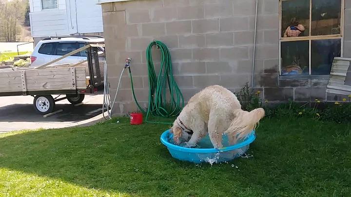 Crazy Winnie