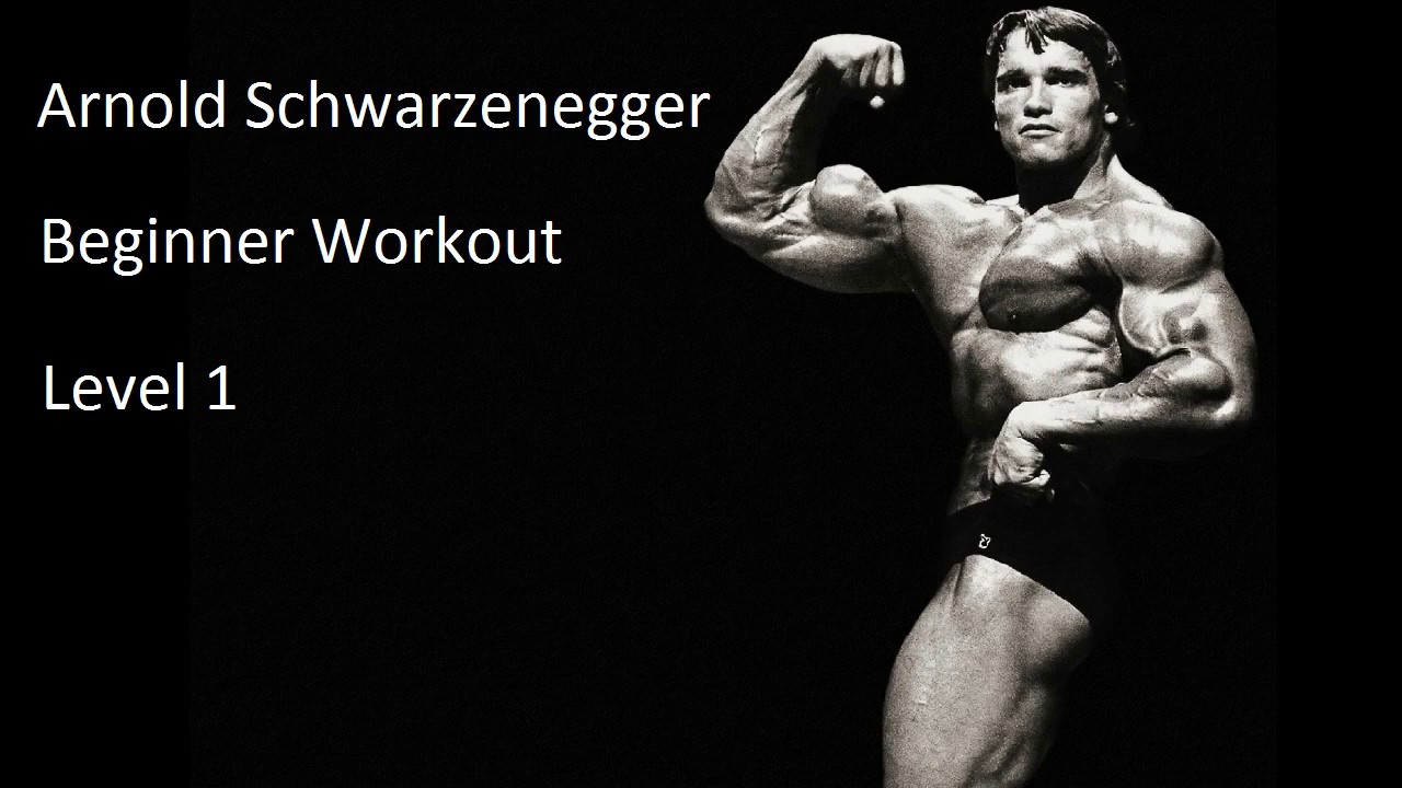 Simple Arnold Schwarzenegger Cutting Workout Plan for Women