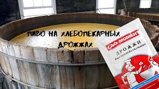 Домашнее пиво на хлебопекарных дрожжах!Вылить или выпить?Дегустация!Дрожжи за 17 рублей! ZOV