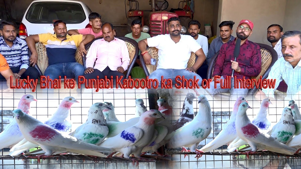 Lucky Bhai ke Punjabi Kabootro ka Shok or Full Interview