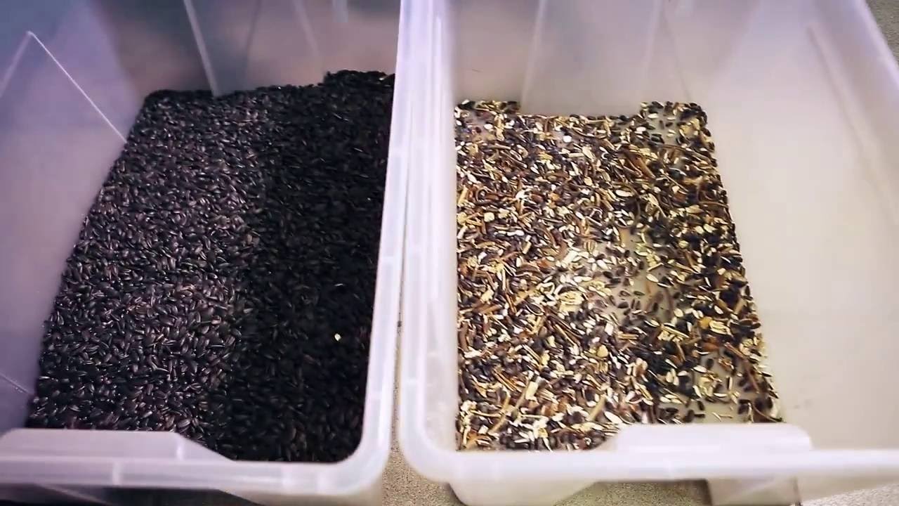 Фотосепаратор "Зоркий" - YouTube