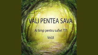 Video thumbnail of "Vali Pentea Sava - Te ridici sau cobori"