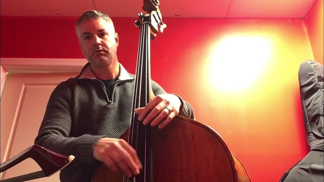 Review of Corelli 370M Bass Strings YouTube