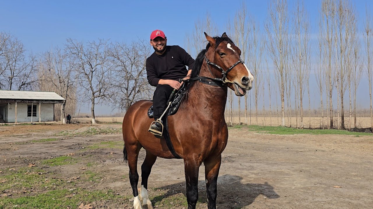 ОТМИСАН ОТ ЭКАН  КОЙИЛ КОЛДИМ ФОРМАСИНИ КУРИНГ. МАШААЛЛОХ..#rek 