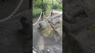 Pendanakan Ada Yg Tidur Lubang Buaya