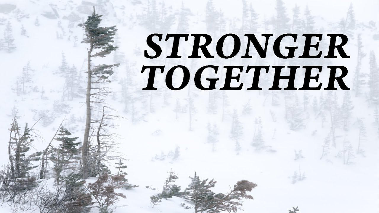 Winter Tree Photography - On Location Shooting Techniques