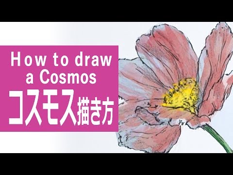 水彩絵の具のイラスト 描き方 制作過程 コスモス How To Draw A Cosmos Youtube