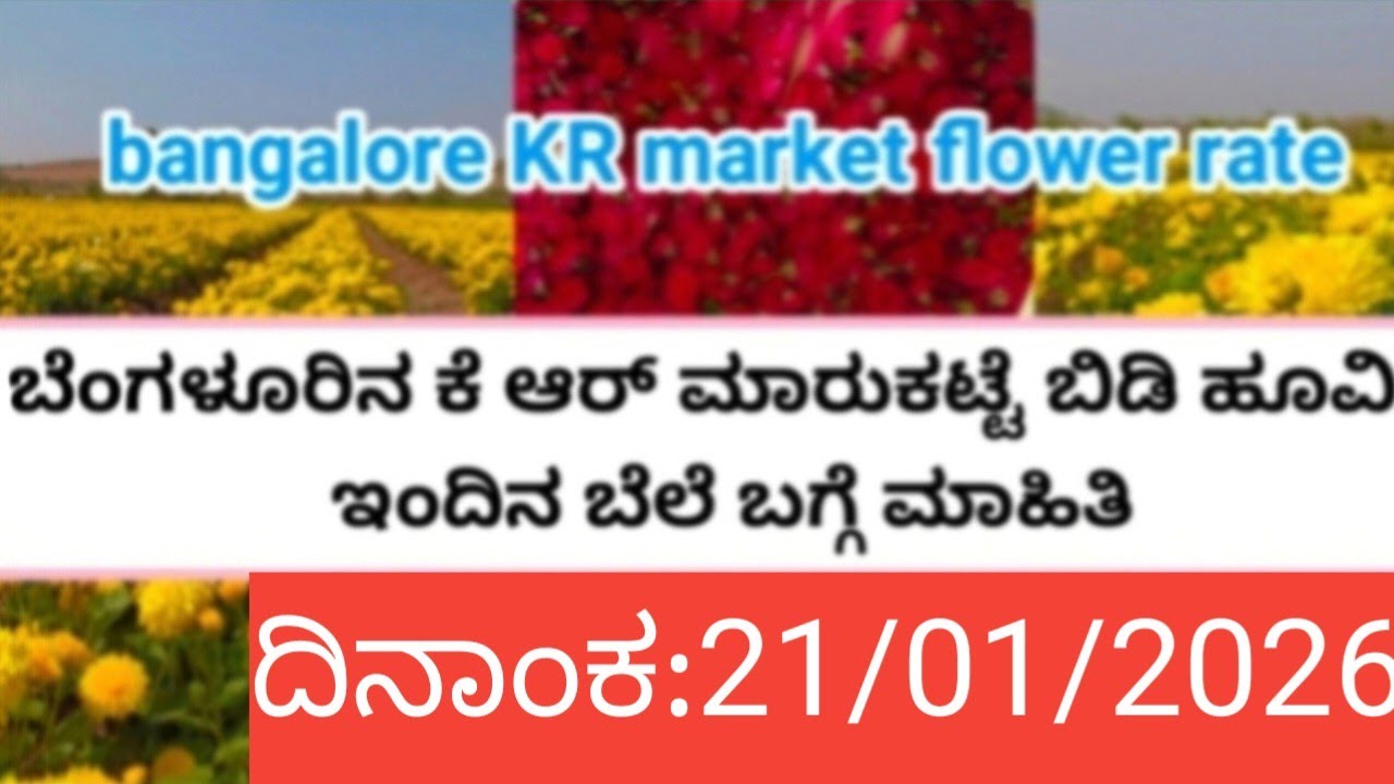 Bangalore KR flower market today rate update/21/01/2026