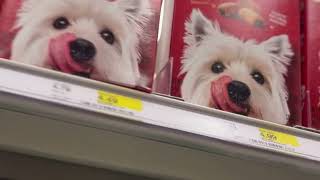 Pet lovers Target #animallovers #PetParents