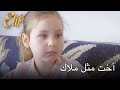 أخت مثل ملاك أليف الحلقة 336 دوبلاج عربي 