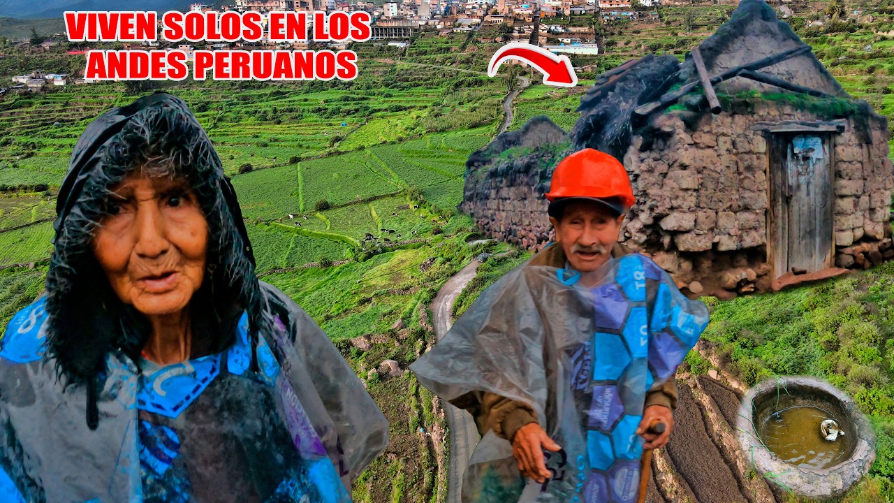 En lo alto de la SIERRA PERUANA construyeron su HOGAR.. VIVEN SOLOS y FELICES