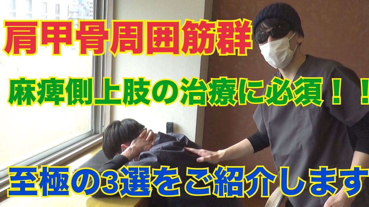 手技動画教材 肩甲骨・脚部 DVD 【公式通販】 手技動画教材 肩甲骨・脚部 DVD 【公式通販】