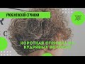 Пошаговый видео урок!  Короткой женской стрижки на вьющиеся волосы.