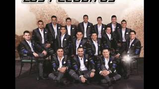 Banda Los Recoditos - Pistearé (NUEVO) (AUDIO ORIGINAL)