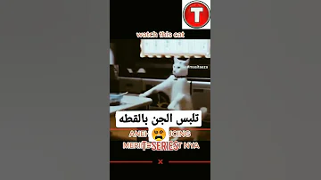 احزرو من القطط لتلبس الجن بها الخوف تك توك المشاهير السحر الاسود Tiktok Shorts الجن جن 