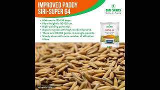 Introducing Siri-Super 64 Setting A New Benchmark In Farming. Join The Journey With Siri Seeds