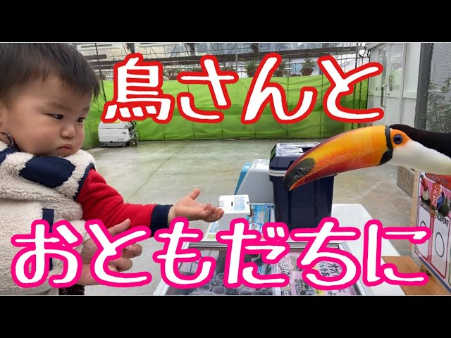 見るまえに跳べ Youtuber は何者 ゆぅくんとじぃじの人気の秘密は 話題の森 見るまえに跳べ Youtuber は何者 ゆぅくんとじぃじの人気の秘密は 話題の森