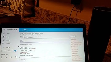 Using my Amazon Echo to talk to HomeAssistant