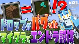 【 #minecraft  Random Drops 01】ドロップがバグった世界でエンドラ討伐したい【 #ケモノVTuber  】