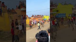 What is Your Favourite Festival❤️| jallikattu sankranthi festival telugu