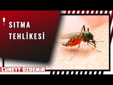 SITMA, NASIL İMPARATORLUKLARIN SONUNU GETİRDİ?