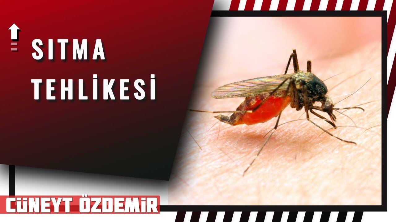 SITMA, NASIL İMPARATORLUKLARIN SONUNU GETİRDİ?