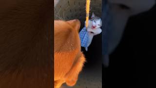 He Threw Her Into A Well. I Couldn’t Walk Away-Rescue Mission