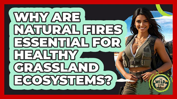 Why Are Natural Fires Essential For Healthy Grassland Ecosystems? - The Wild Life Explorer
