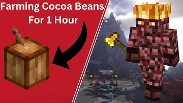Is Farming Cocoa Beans Worth It on Hypixel Skyblock