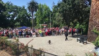 Historic Union Cemetery, Redwood City, CA, Memorial Day 2016 Anvil Firing