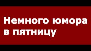 Юмор в пятницу. Короткие анекдоты