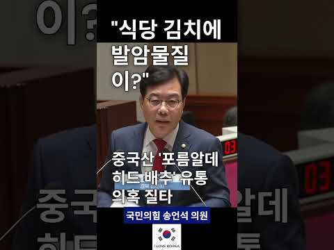 "식당 김치에 발암물질이?" 송언석, 중국산 '포름알데히드 배추' 유통 의혹 질타 #송언석 #국회 #예결위 #중국산배추 #포름알데히드 #식품안전 #식약처 #국회질의 #중국산김치