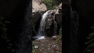 SENDERO PASO LOS PEUMOS - Parque Aguas de Ramon