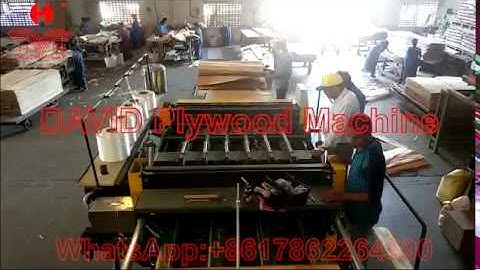 veneer composer jointer machine veneer core jointing sewing machine/Линия ребросклеивания шпона