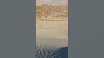 Thumbnail of Jeep Disappeared in the sand #Desert #safari #Viral #music #shorts #fun #funny #art #song #comedy