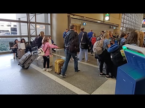 Video: Du Kan Anta En Flygplats TSA-hund Som Misslyckades Med Deras Utbildning