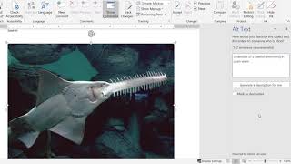 Celebrity Creating Accessible Images in Word, Google Apps, and Canvas Net Worth
