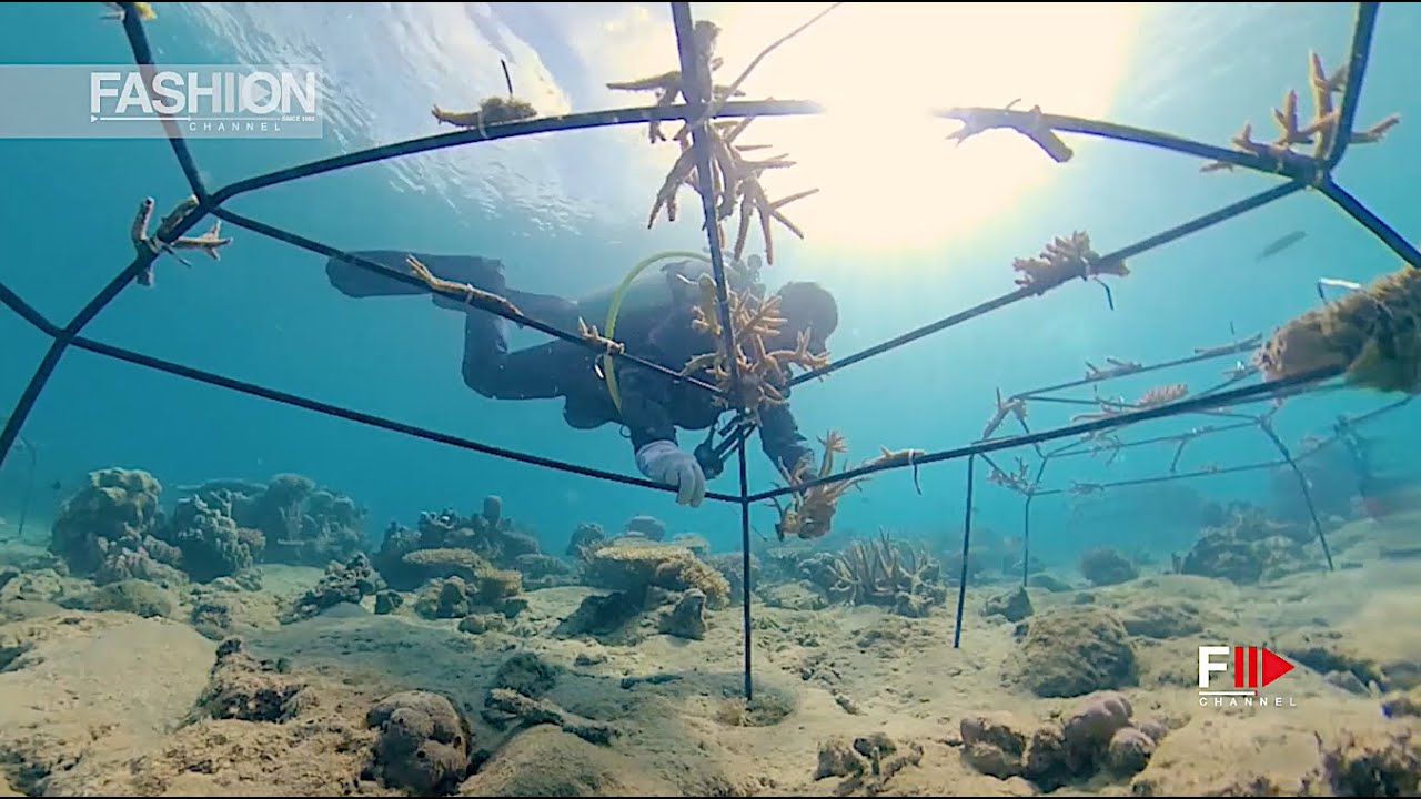 DoDo™ for Tēnaka - Coral reefs: the jewels of the sea 2020 Tioman Malaysia - Fashion Channel