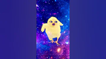 مفيش سكر ولا مقليات Shorts 