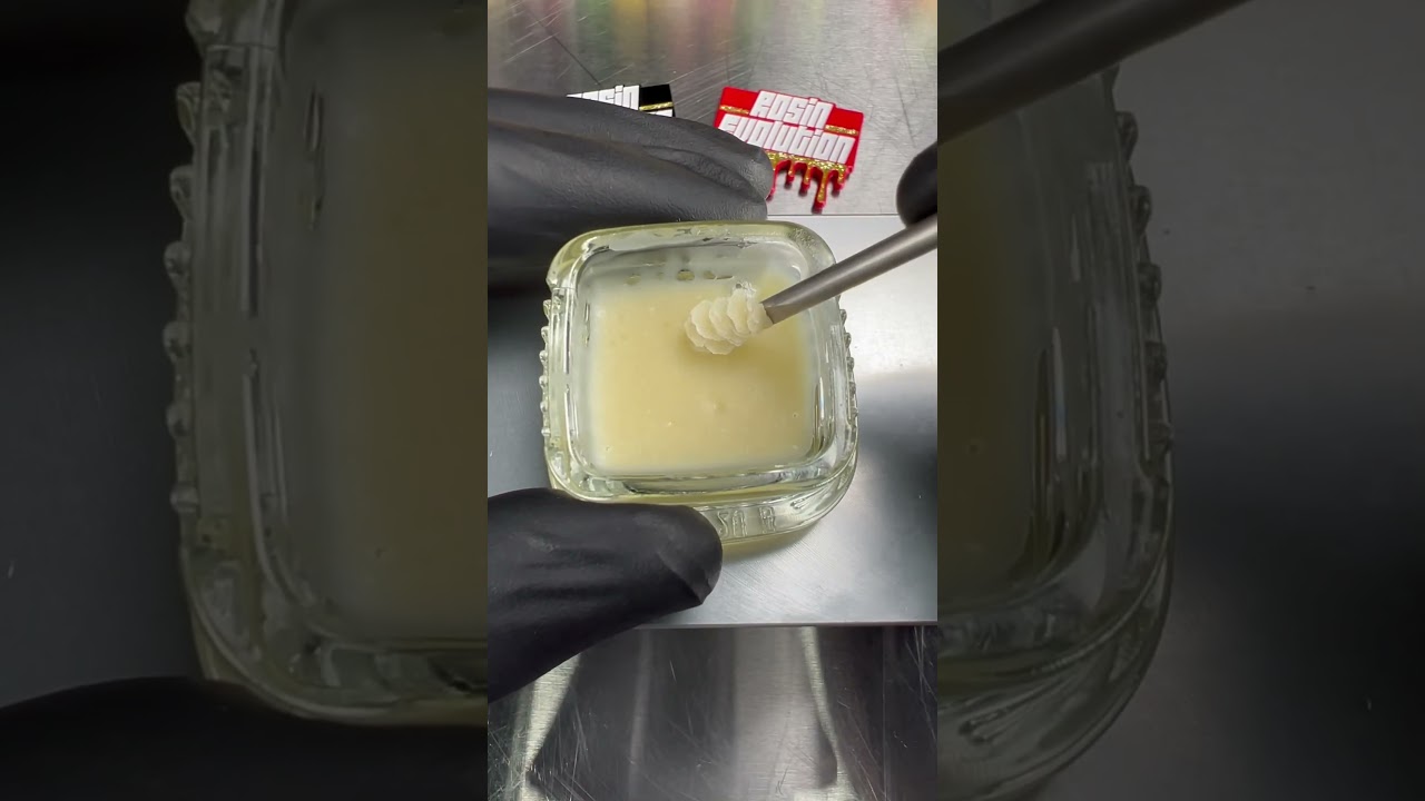 Cured White Truffle rosin made using Rosin Evolution equipment 😶‍🌫️