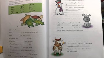 Tiếng Anh Dành Cho Mọi Người - Unit 3 Writing Roundup Video Reading Skills Level 2