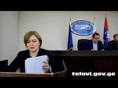 N5   საკრებულოს წევრის ანგარიშის ფორმა   28 09 2018