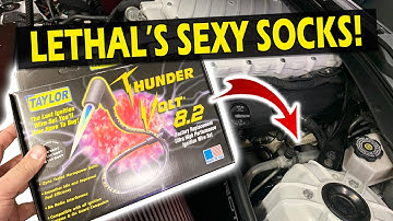 Taylor 16-24 Camaro Ignition Wires! (Best Option Period)