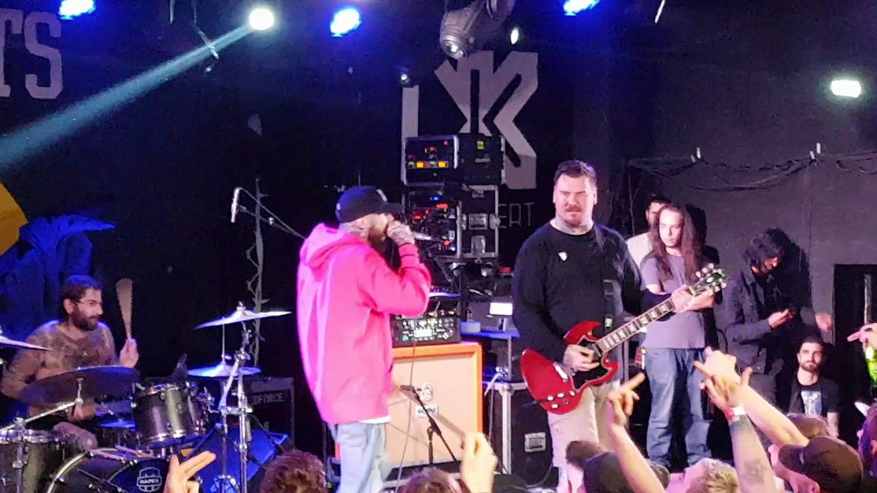 Deez Nuts - Binge & Purgatory - live at Budapest Dürer kert - 2019.11.19.