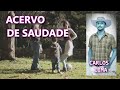 Acervo de saudade carlos lima