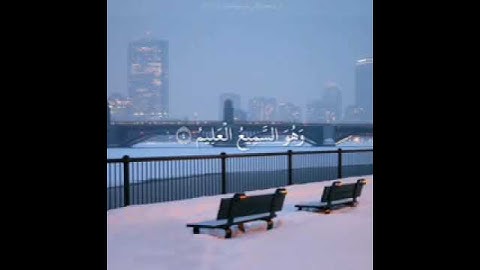 ارح سمعك لثواني 🎧🎧//تلاوة بصوت القارئ إبراهيم جبرين❤❤...حالات واتس اب دينيه