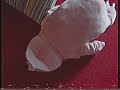 M.O Collette - CIELO (Official Visualizer)