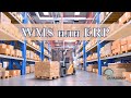 WMS и ERP - сравнение функционала систем. В какой программе работать складу и нужно ли переплачивать